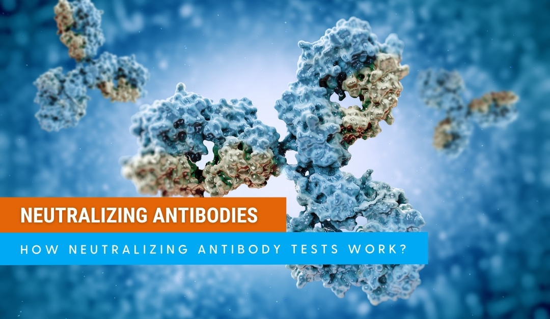 What Exactly is a Neutralizing Antibody and how this test works