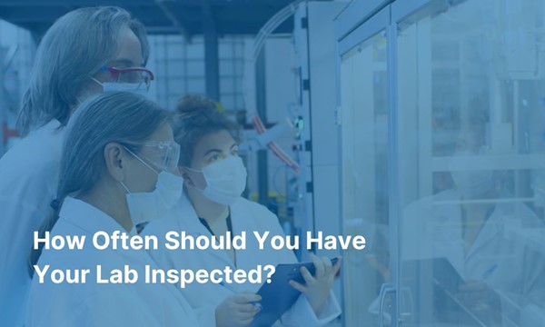 How Often Should You Have Your Lab Inspected?